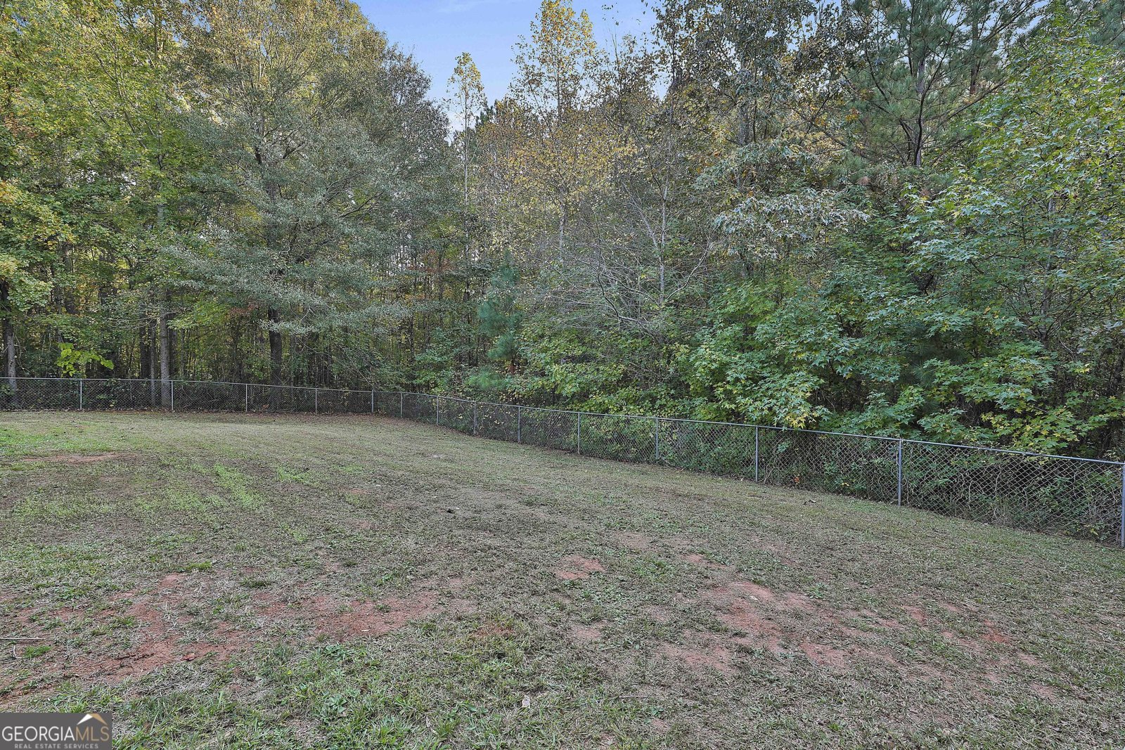 2551 Luther Bailey Road Senoia - 25