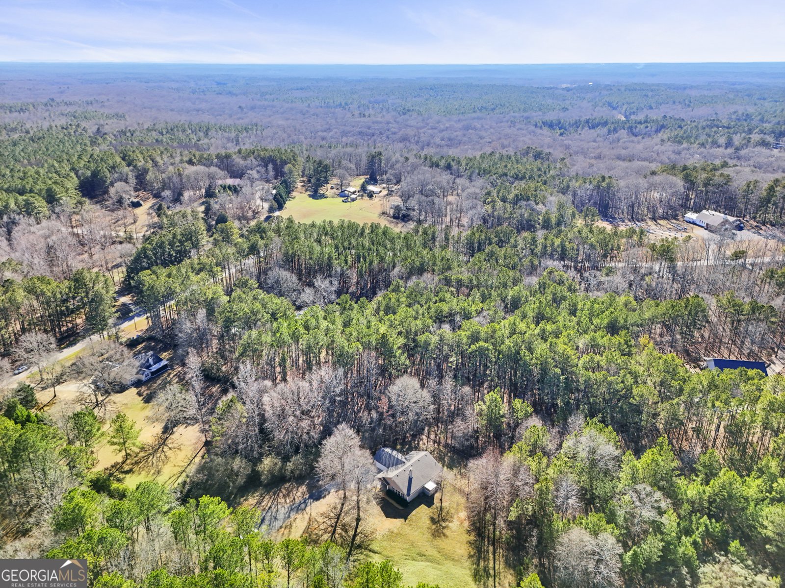 2551 Luther Bailey Road Senoia - 29