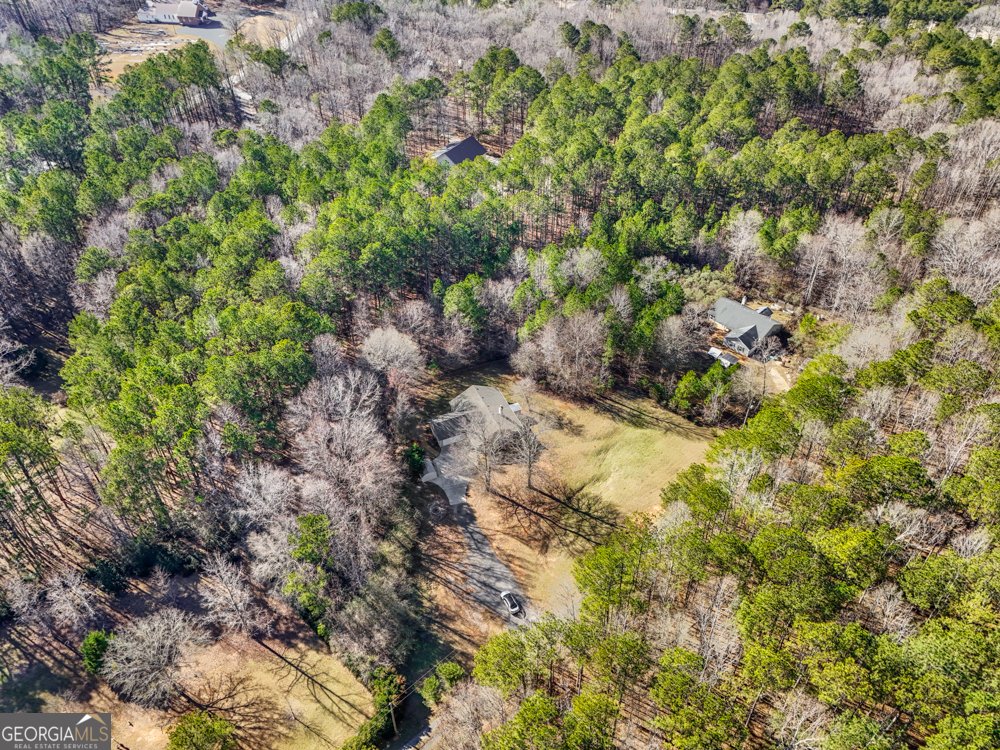 2551 Luther Bailey Road Senoia - 32