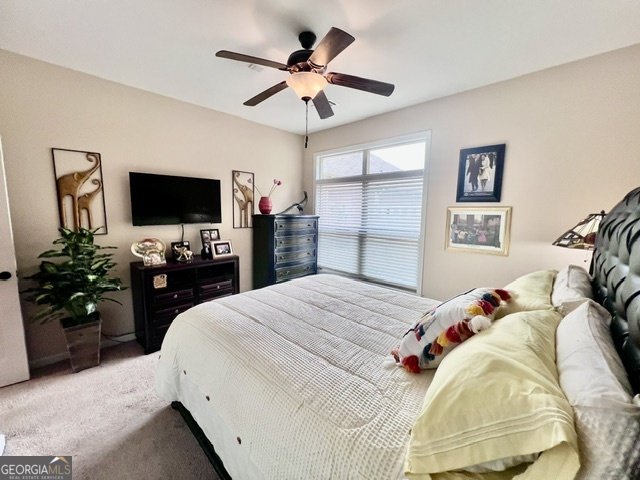 245 Fenwick Circle McDonough - 30