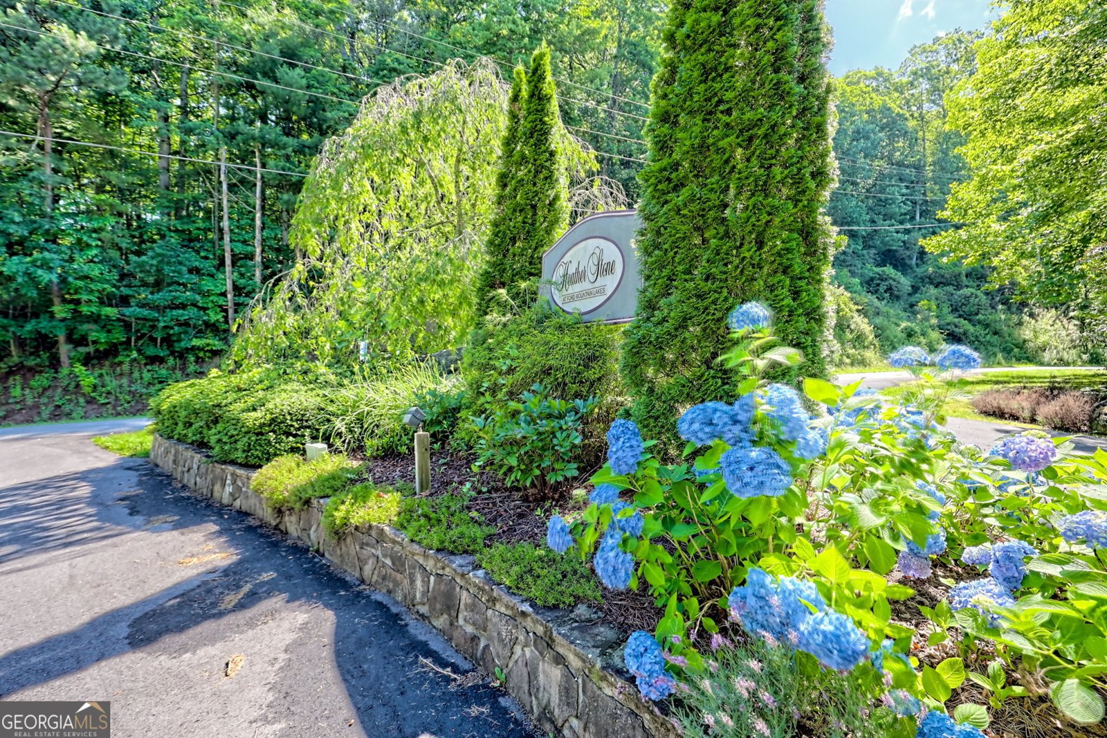 249 Dalton Drive Dillard - 23