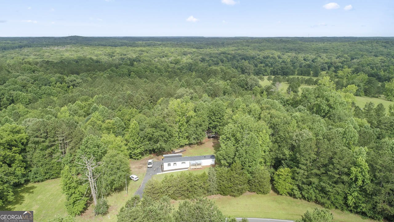 4249 ELLIS RD. Griffin - 3