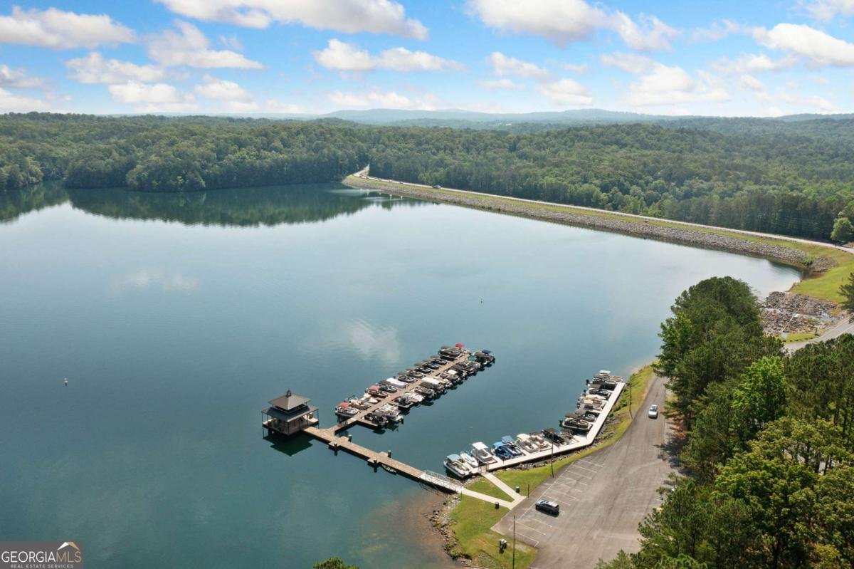 103 Marina Parc Drive Waleska - 4
