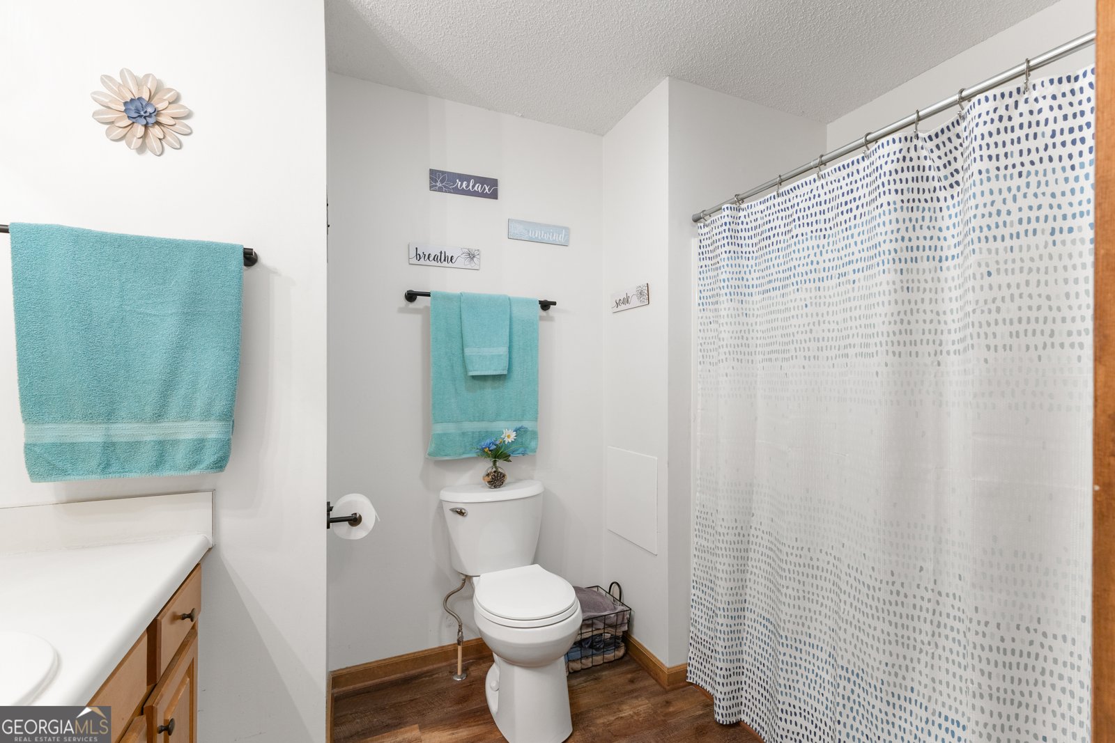 4431 Three Bridges Road Gillsville - 23