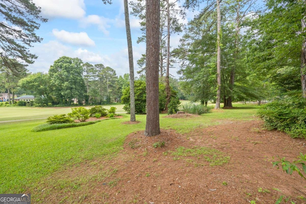 705 Clubhouse Drive Conyers - 22