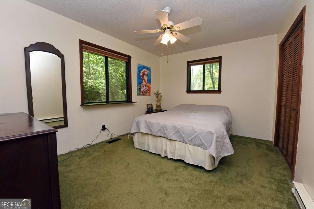 780 Watson Gap Road Mineral Bluff - 28