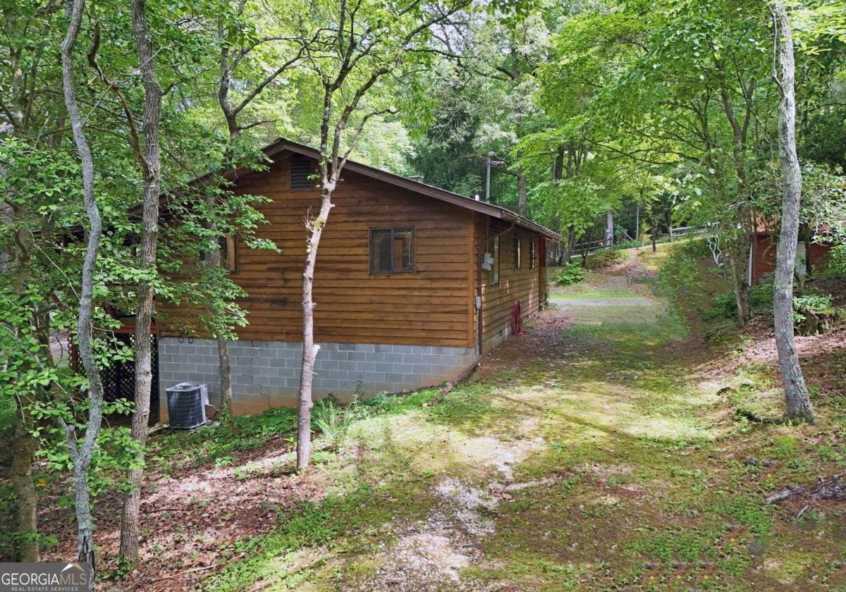780 Watson Gap Road Mineral Bluff - 8