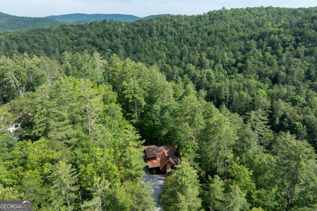 40 Adelaide Trail Blue Ridge - 36