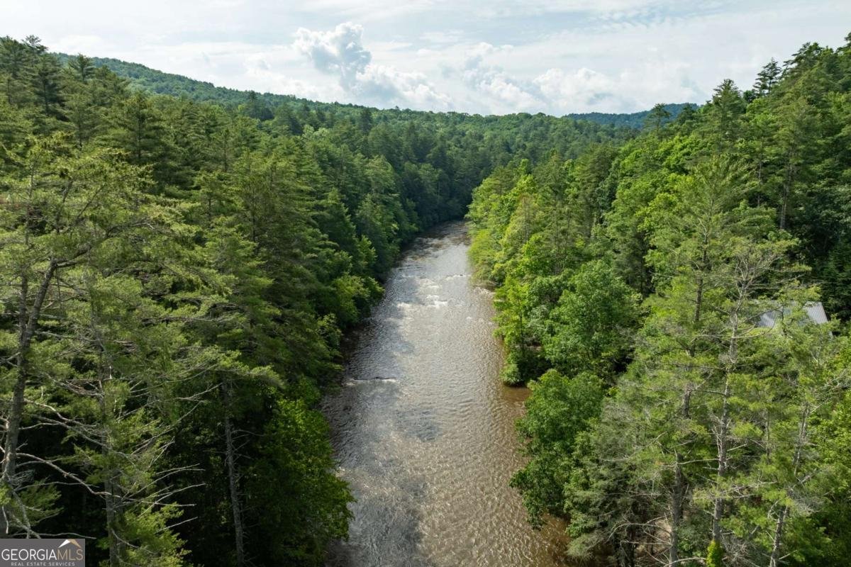 40 Adelaide Trail Blue Ridge - 37