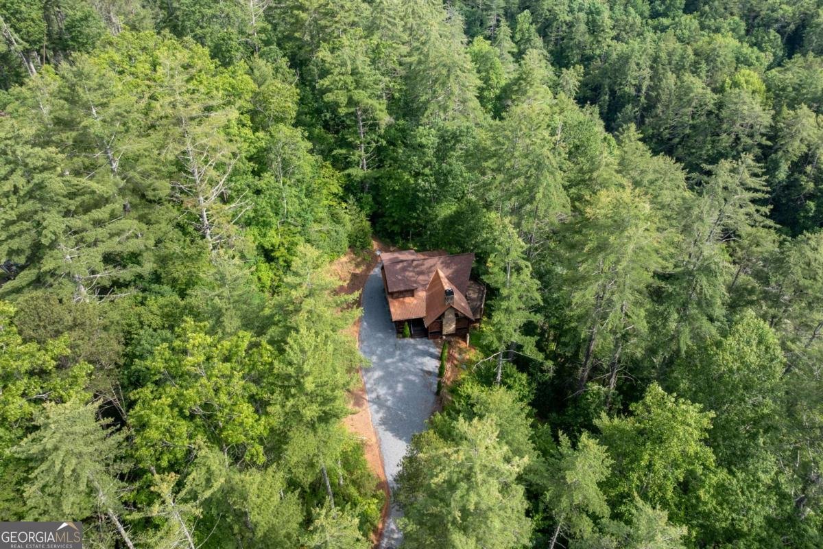 40 Adelaide Trail Blue Ridge - 38