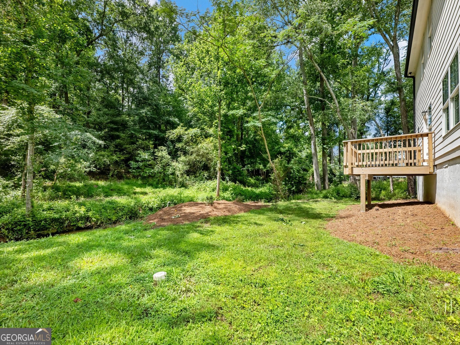 9701 Davis Street Braselton - 1