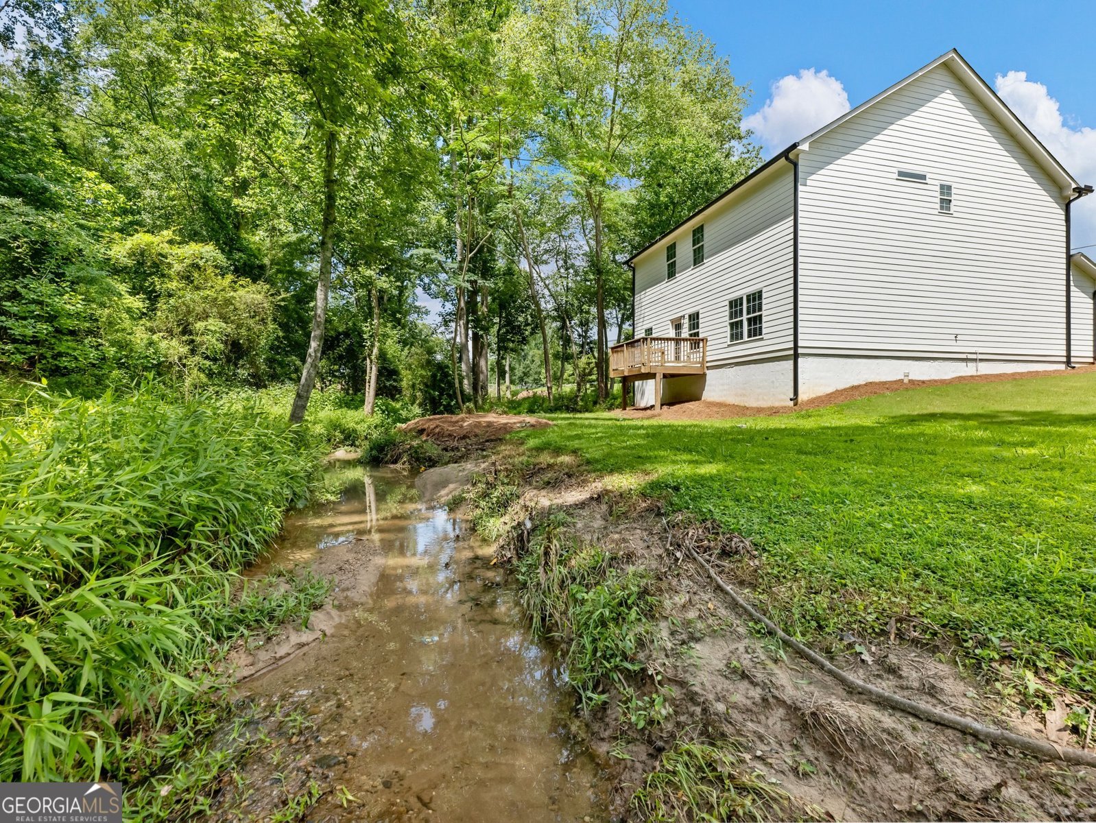 9701 Davis Street Braselton - 4