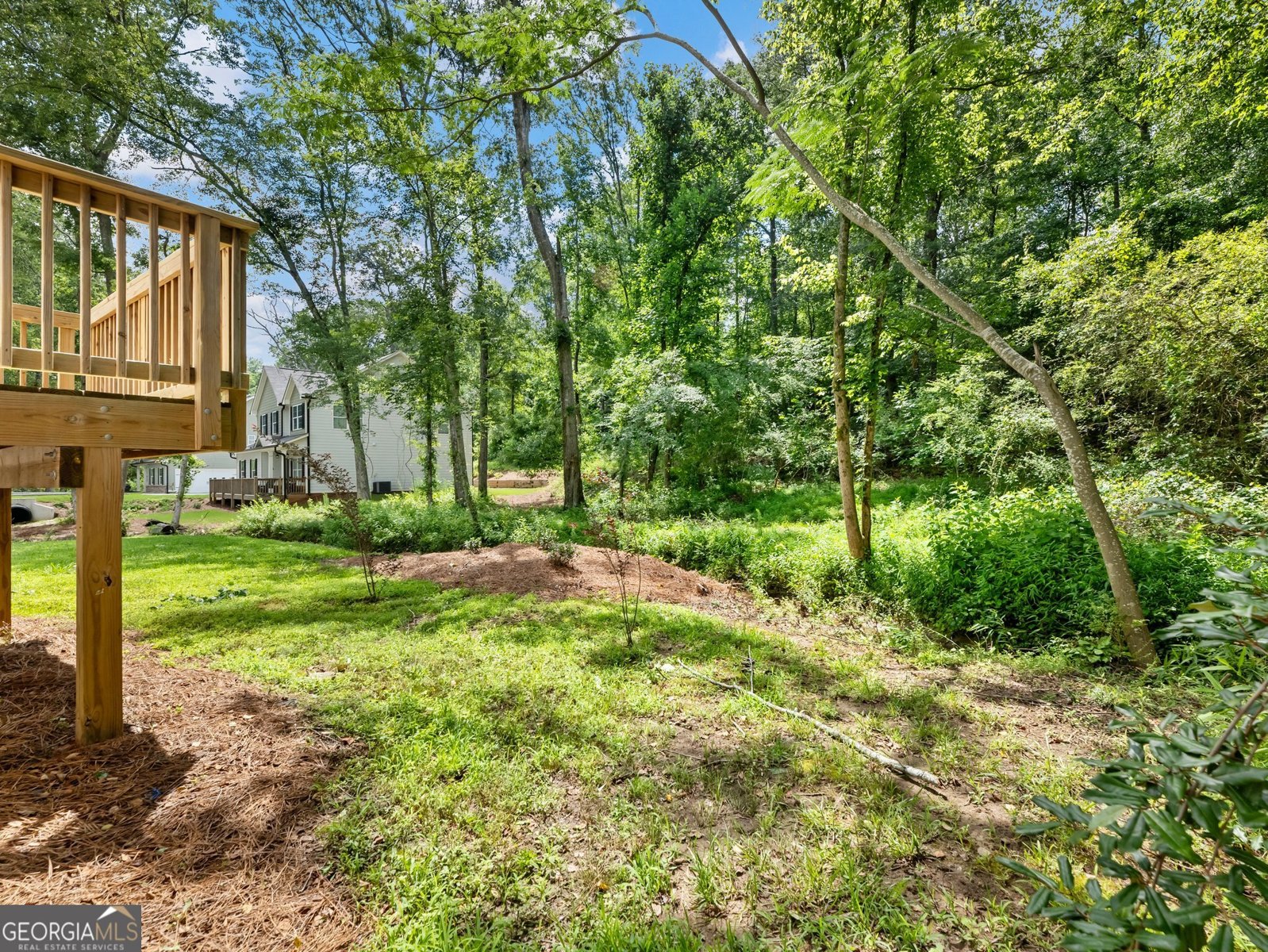 9701 Davis Street Braselton - 5