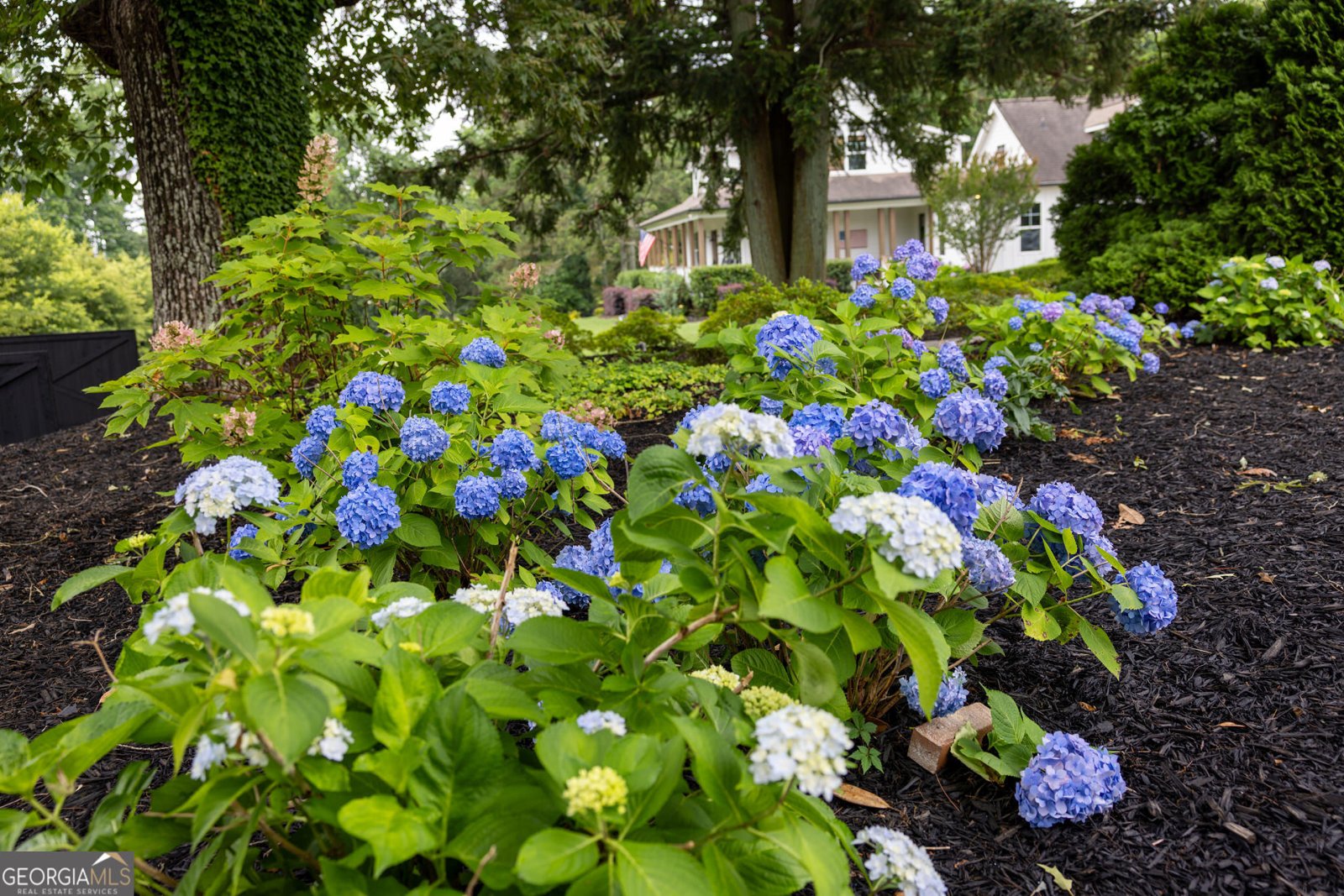 7093 Vaughn Road Canton - 39