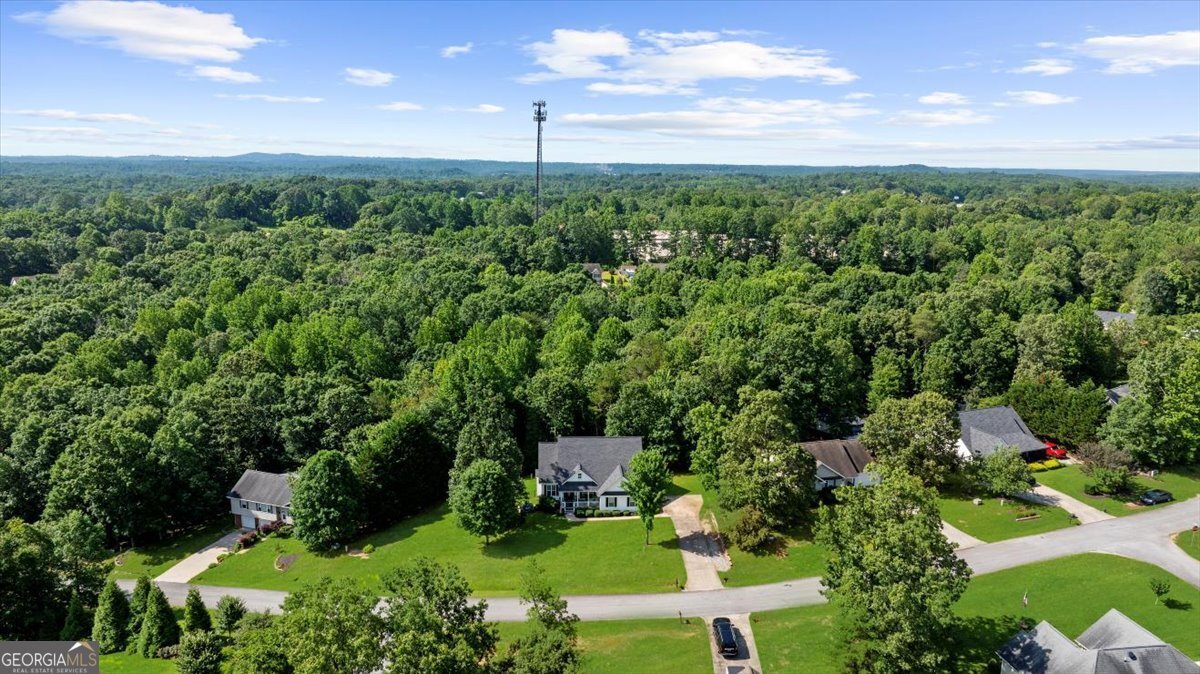221 Timber Ridge Drive Clarkesville - 56