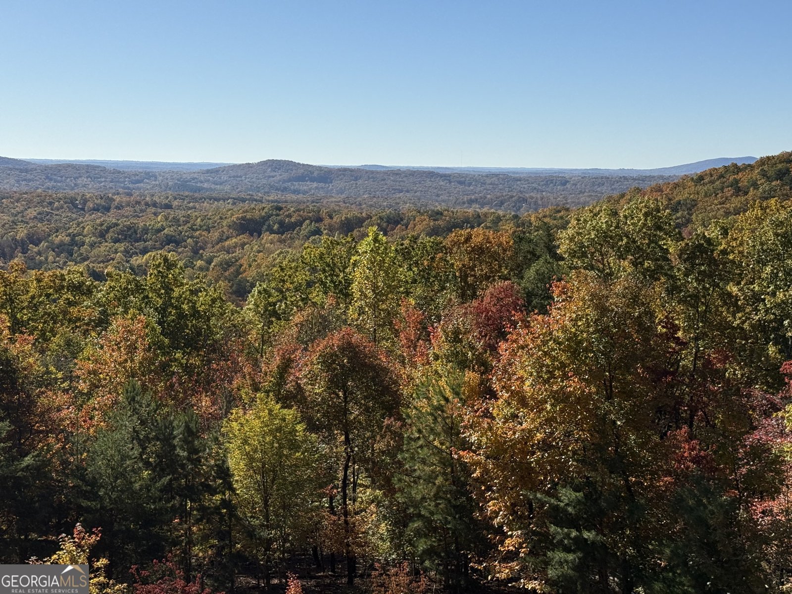 865 Laurel Ridge Road Cleveland - 86