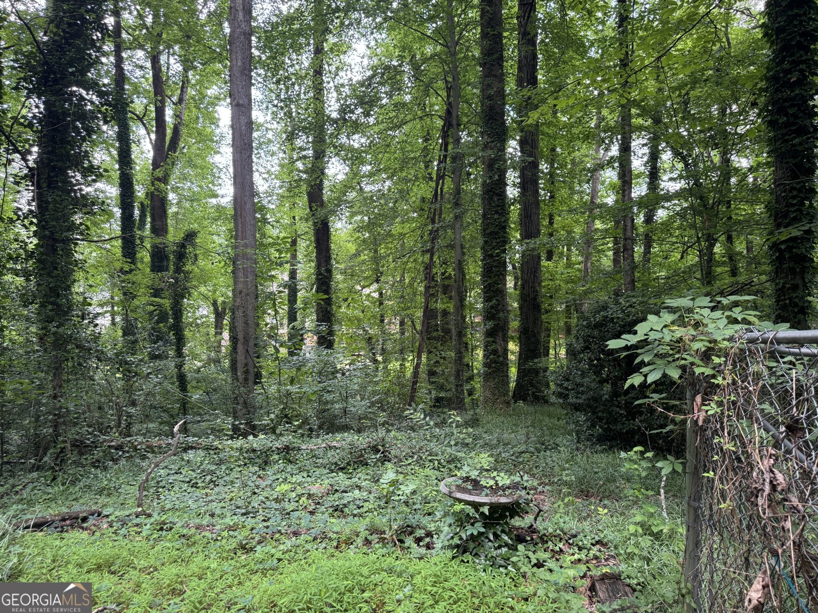 372 Nalley Drive Stone Mountain - 44