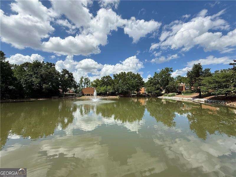 4113 Ashford Green Drive Duluth - 17