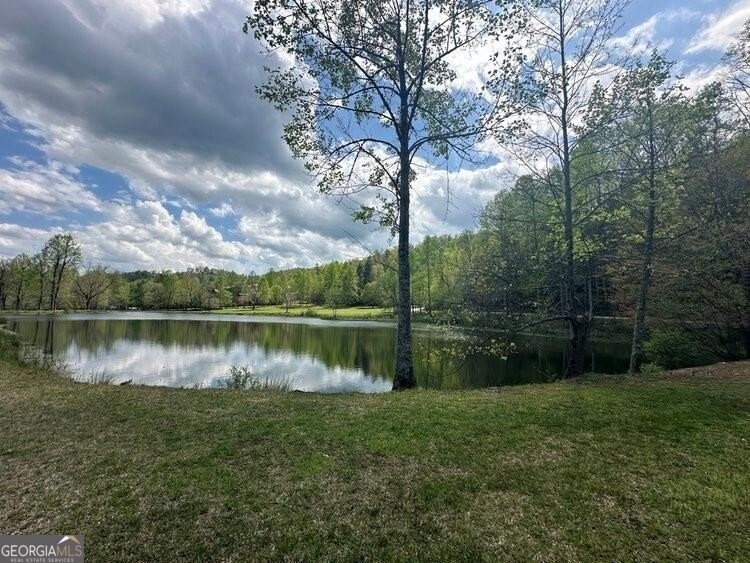 90 Cove View Lane Clarkesville - 18