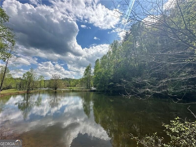 90 Cove View Lane Clarkesville - 21