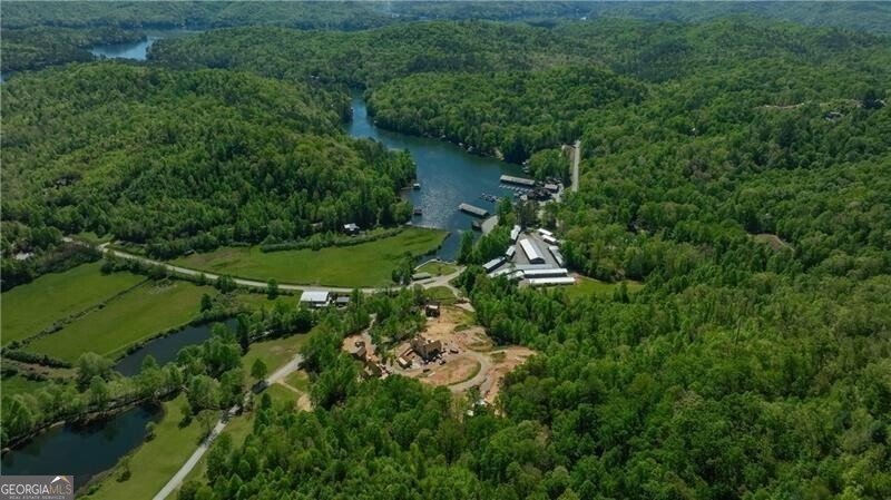 90 Cove View Lane Clarkesville - 23