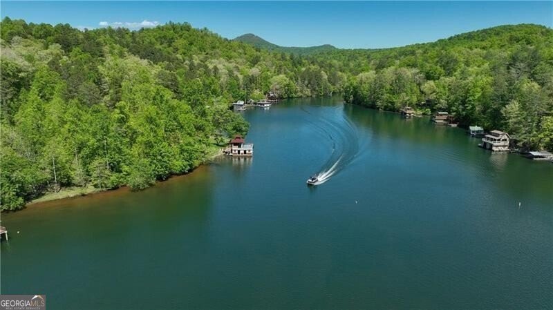 90 Cove View Lane Clarkesville - 24