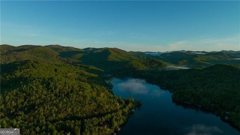 90 Cove View Lane Clarkesville - 29