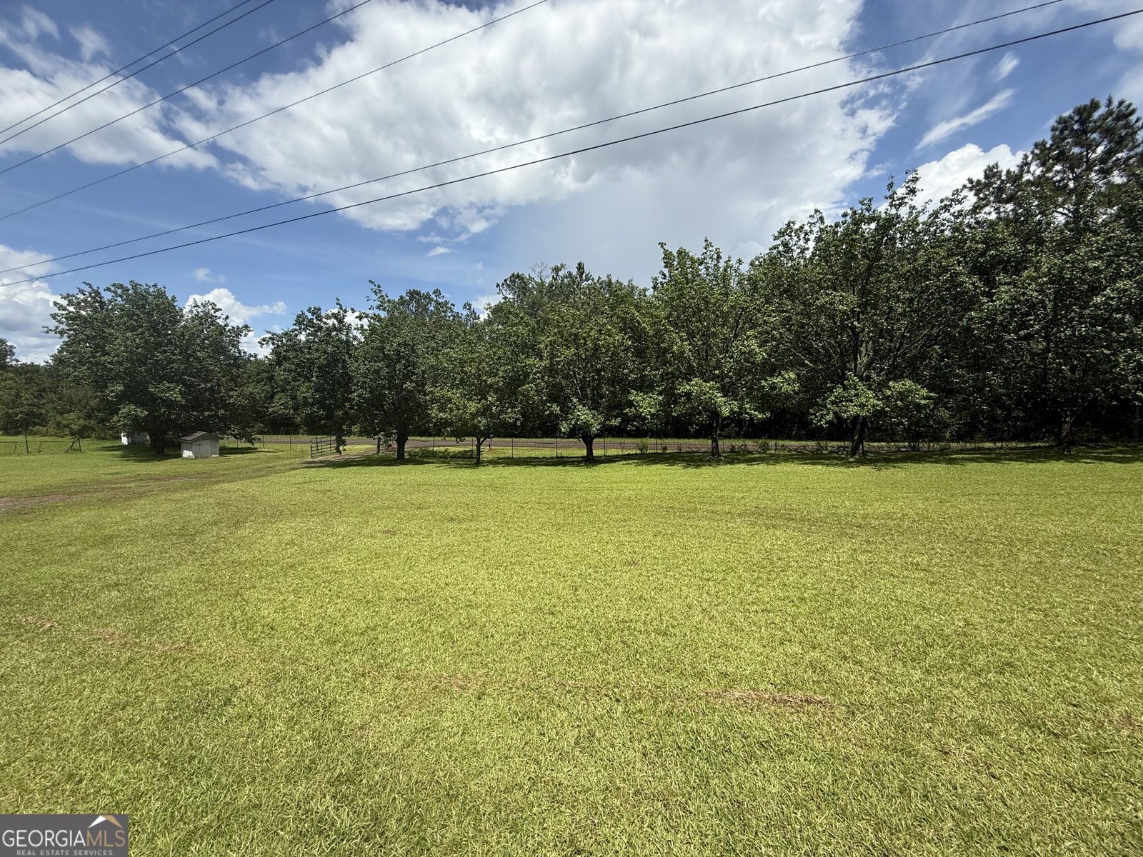 314 Elbert Jackson Road Forsyth - 3