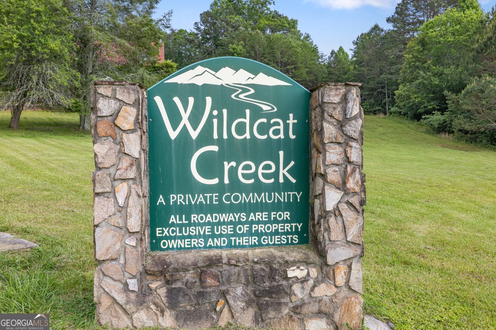 115 Wildcat Run Suches - 38