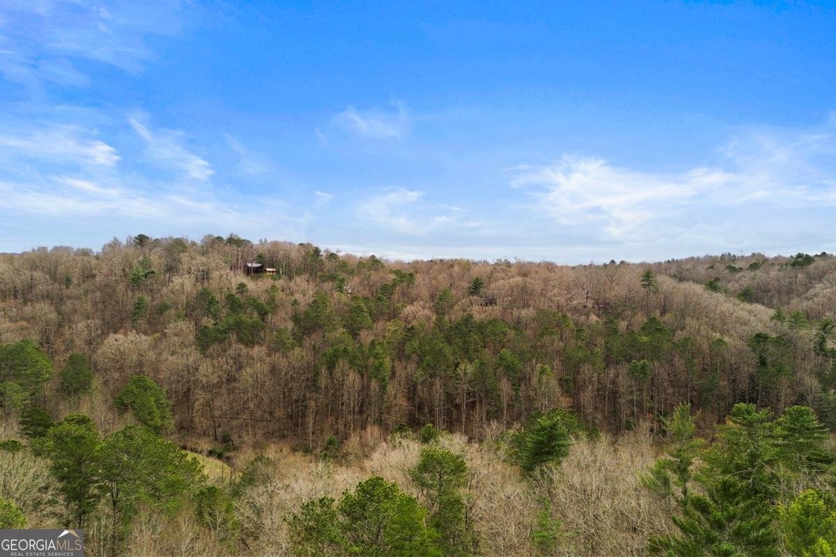 230 Grove Lane Ellijay - 2