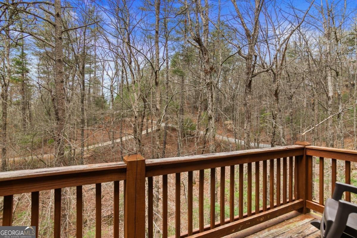 230 Grove Lane Ellijay - 40