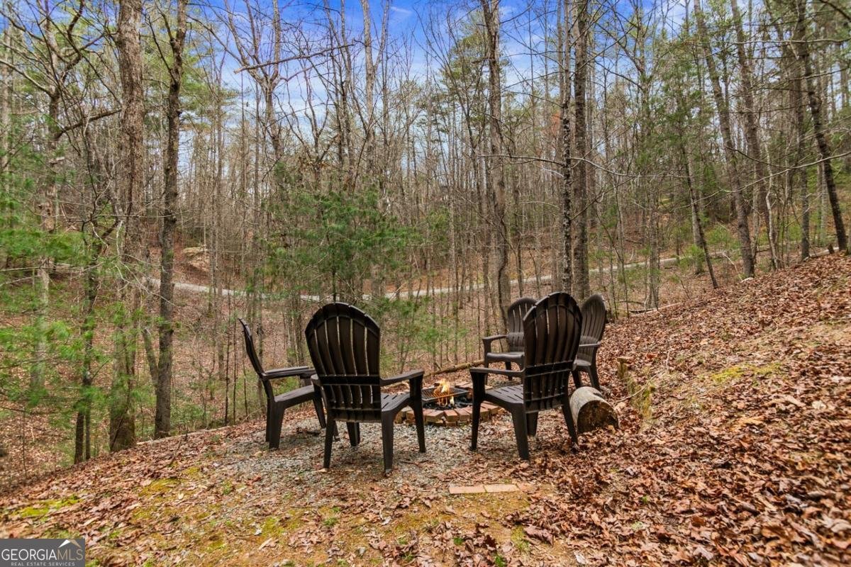 230 Grove Lane Ellijay - 51