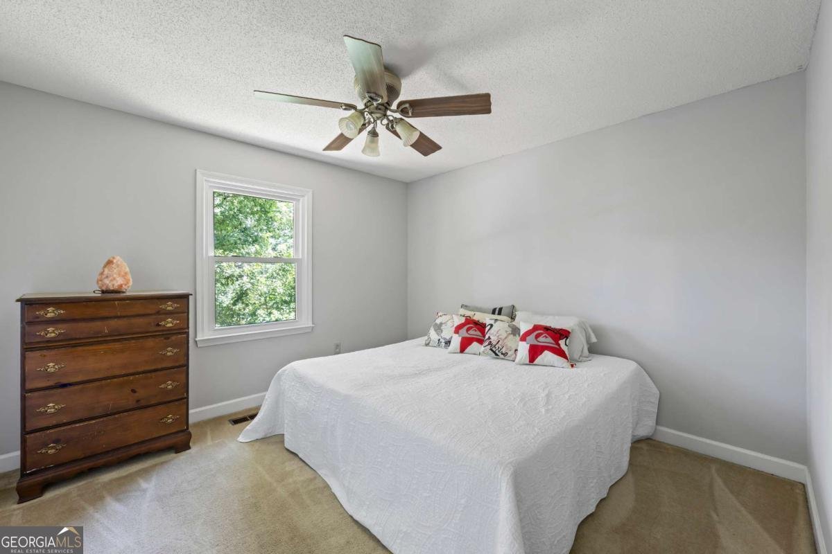 1161 Brookwood Drive Watkinsville - 17