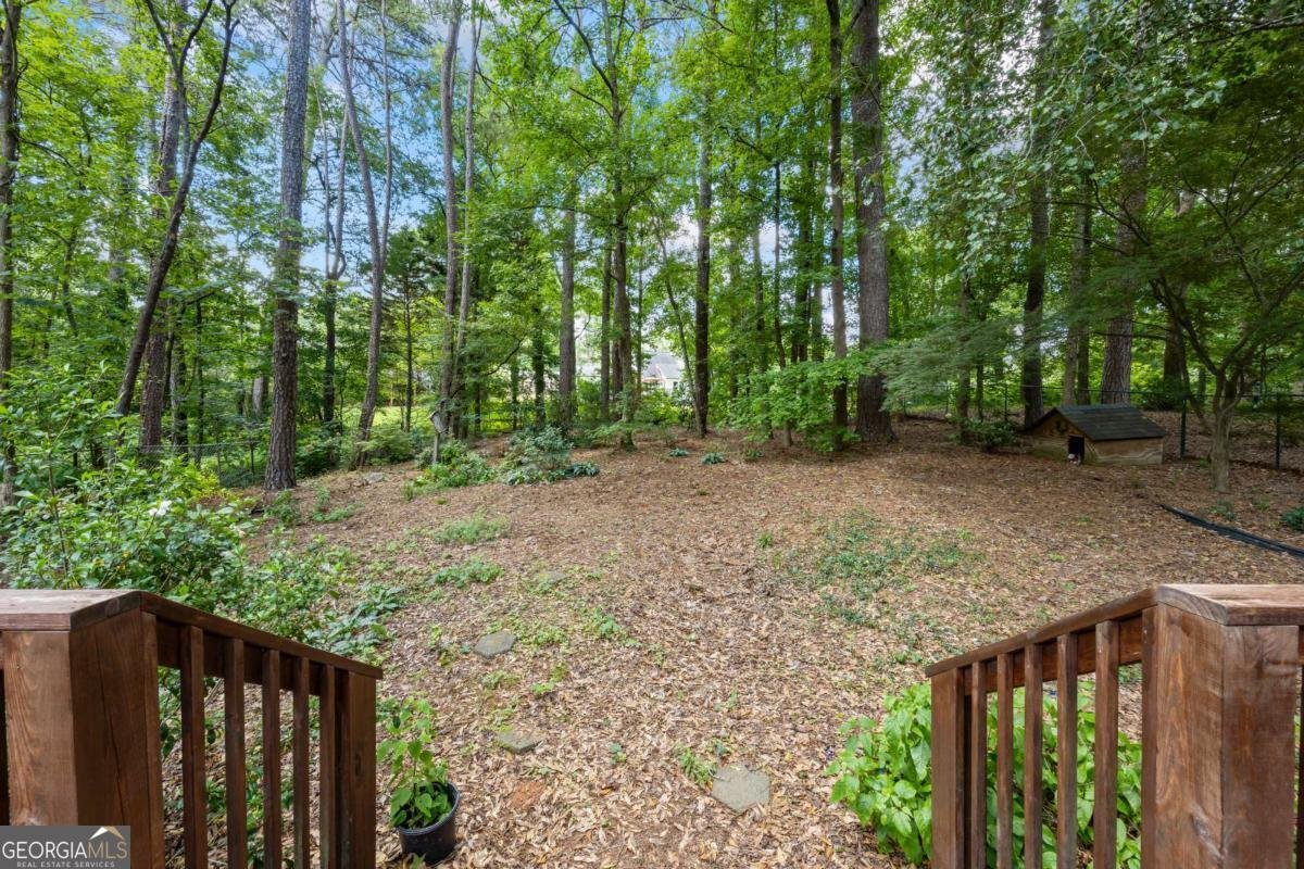 1161 Brookwood Drive Watkinsville - 34