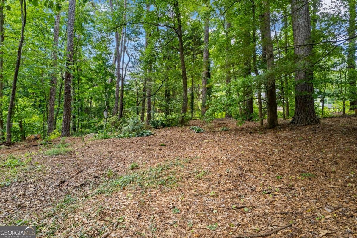 1161 Brookwood Drive Watkinsville - 35