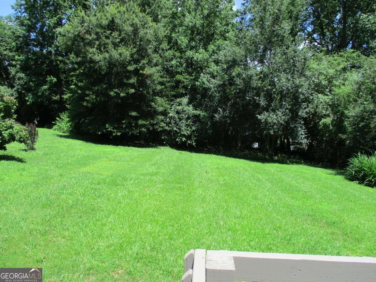 161 Windy Hills Lane Fairmount - 49