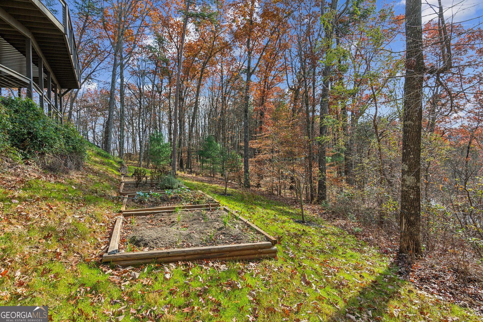 105 Yonah Vw View Dahlonega - 27
