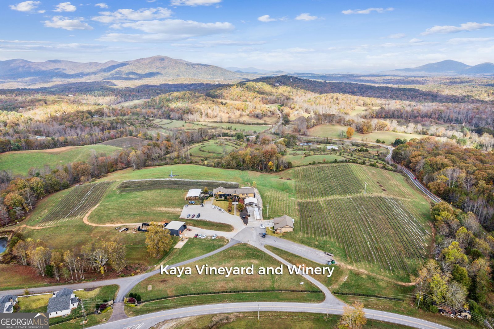 105 Yonah Vw View Dahlonega - 46