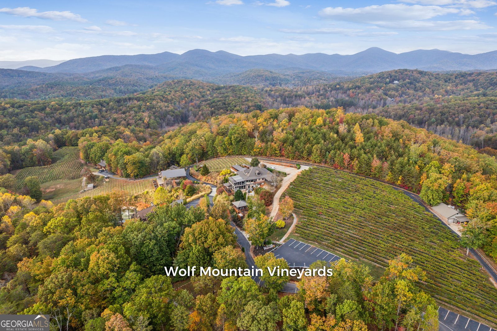 105 Yonah Vw View Dahlonega - 48