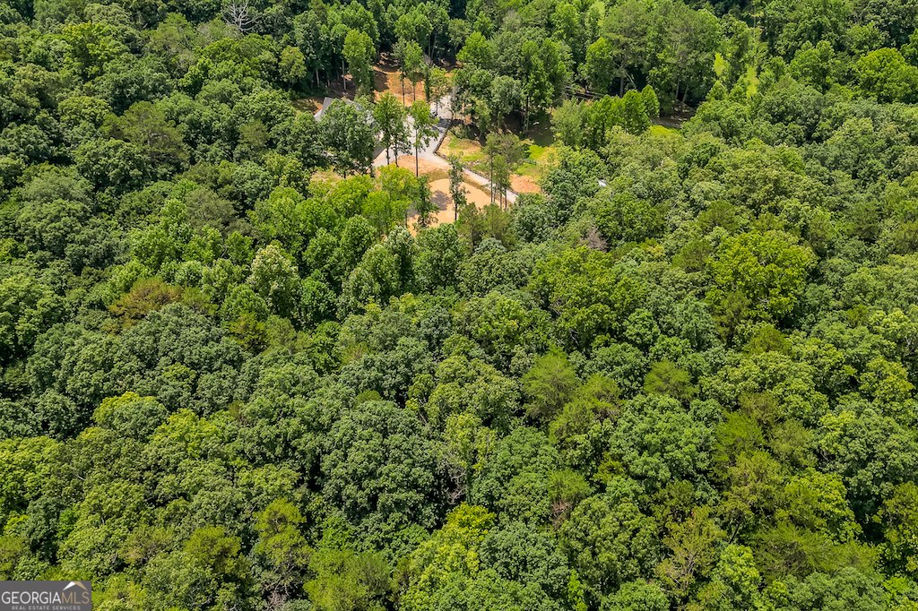 682 Tanglewood Lane Ellijay - 38