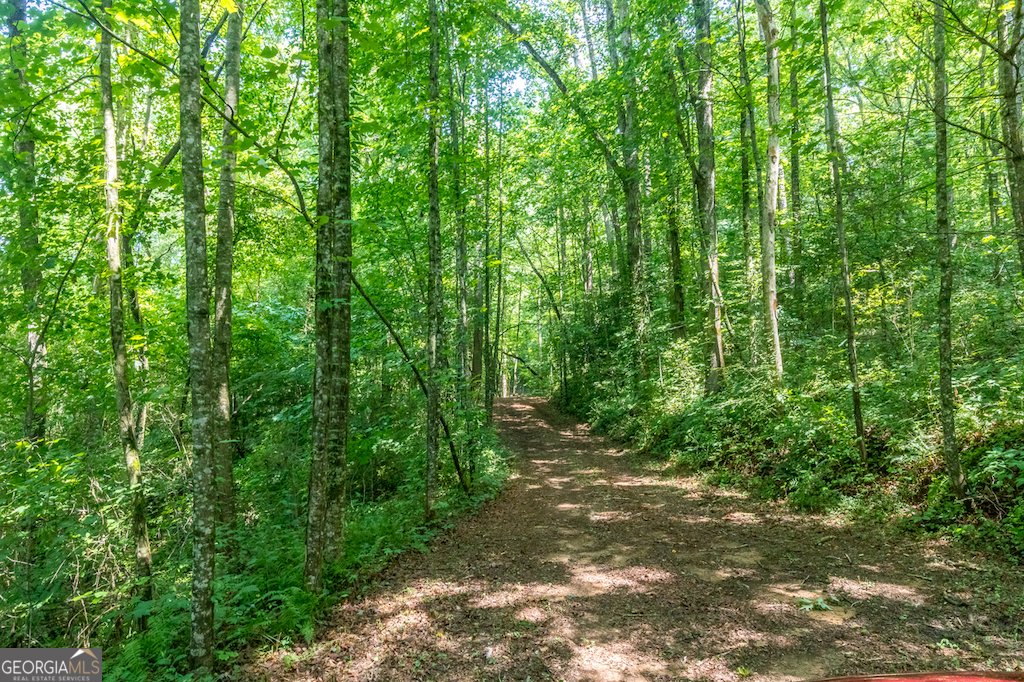 682 Tanglewood Lane Ellijay - 44