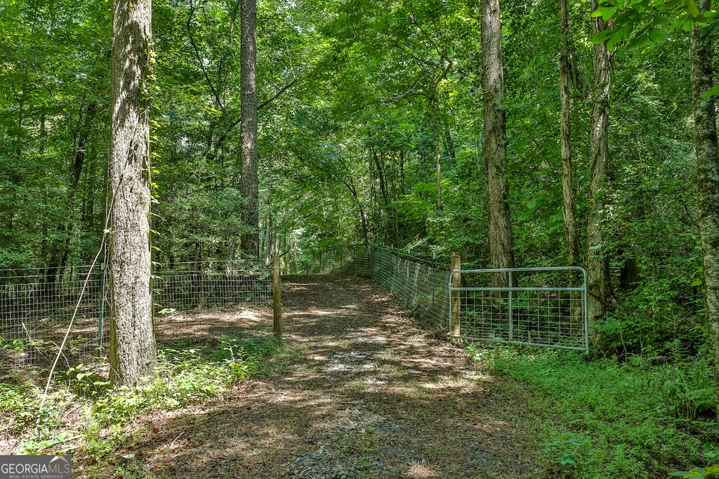 682 Tanglewood Lane Ellijay - 45