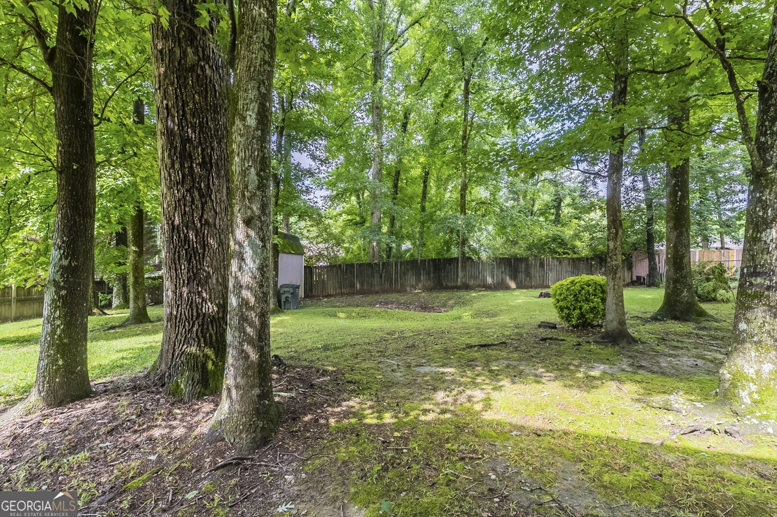 3110 Ashly Cove Lane Snellville - 33