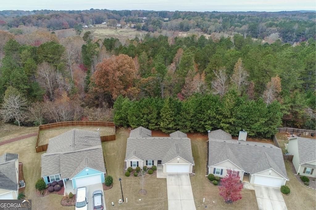 691 Walnut Woods Drive Drive Braselton - 31