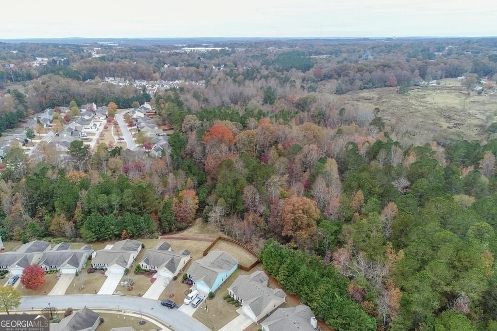 691 Walnut Woods Drive Drive Braselton - 32