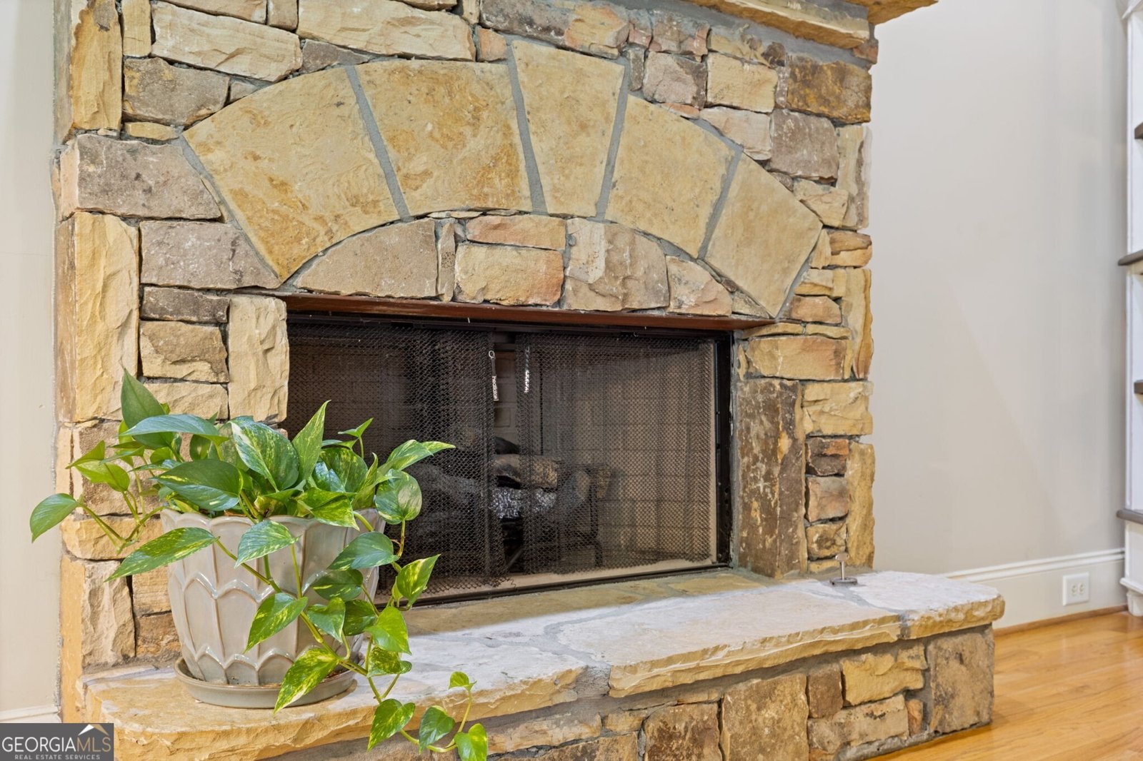 8775 Mica Creek Ball Ground - 13