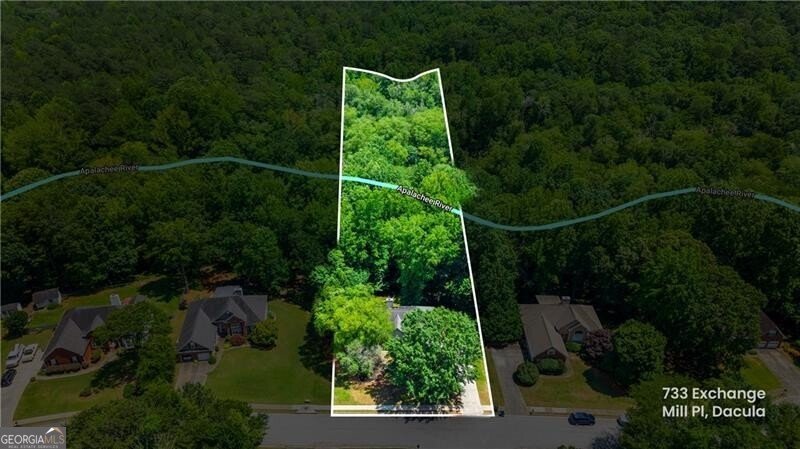 733 Exchange Mill Place Dacula - 37