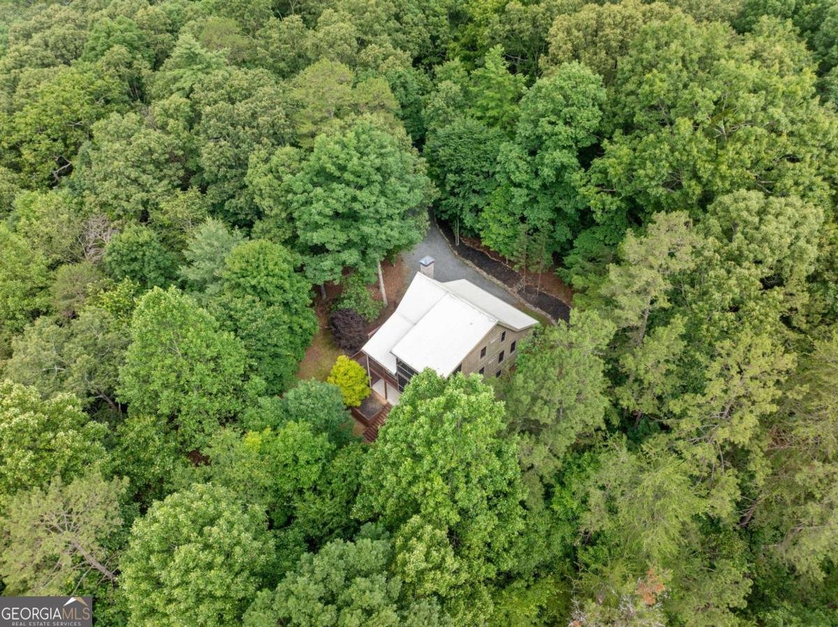 85 Misty Hollow Ridge Ellijay - 39