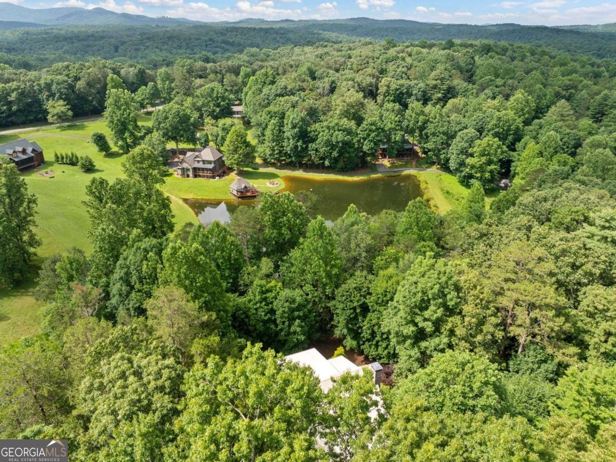 85 Misty Hollow Ridge Ellijay - 41