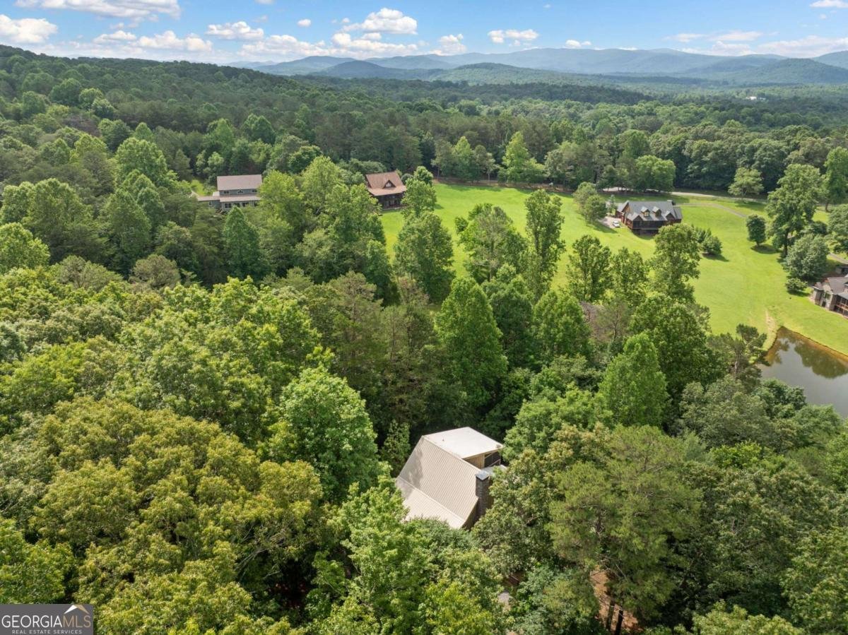 85 Misty Hollow Ridge Ellijay - 42